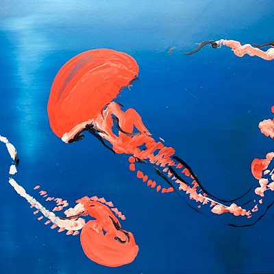 70x50 cm